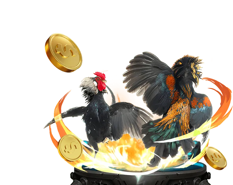 Sự kiện cộng đồng và hợp tác